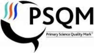 Primary Senior Quality Mark